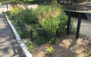 Bioswale, Edgewood School, New Haven, CT © Save The Sound
