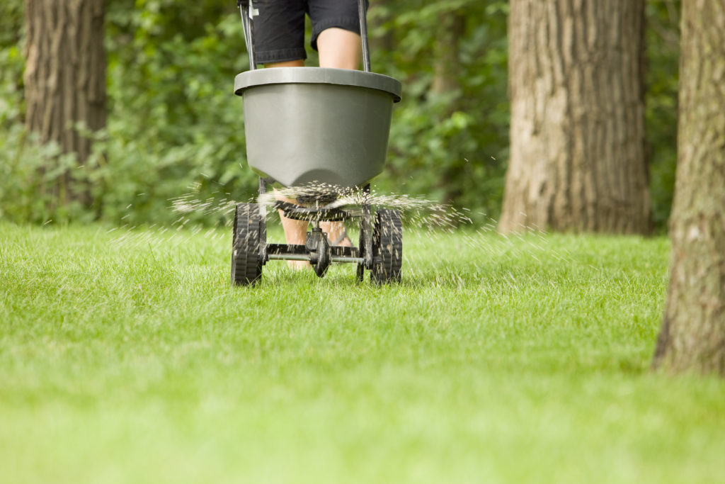 Fertilizer Spreader_Shutterstock_Standard License