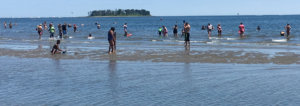 ©-Rachel-Lowenthal,-TNC,-Silver-Sands-Beach-Milford