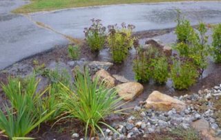 Rain Garden, Middlesex Extension, Haddam, CT © NEMO program at the UCONN CLEAR