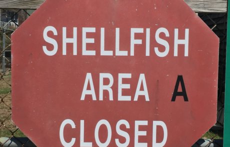 Shellfish Closures © R. Lowenthal, TNC