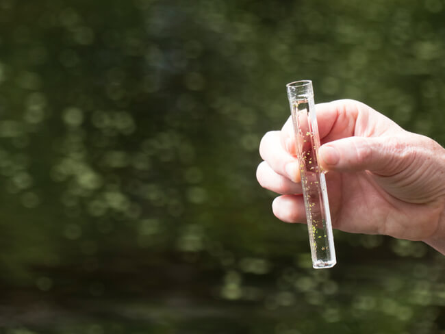 Stony Brook_LIS Research
