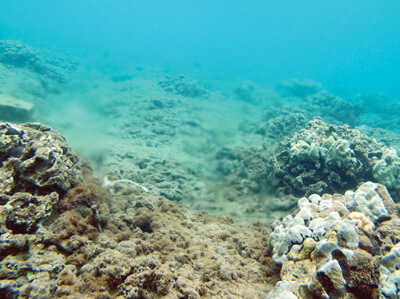 USGS_Peter Swarzenski