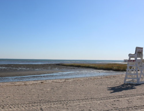 Bacteria from untreated sewage frequently causes beach closures across Long Island Sound