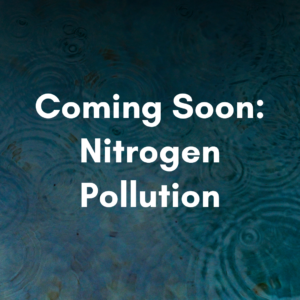 Coming Soon: Nitrogen Coming Soon: Nitrogen Pollution