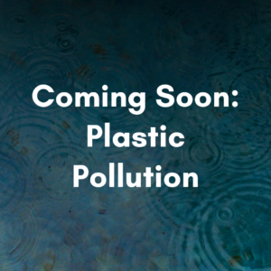 Coming Soon: Plastic Coming Soon: Plastic Pollution